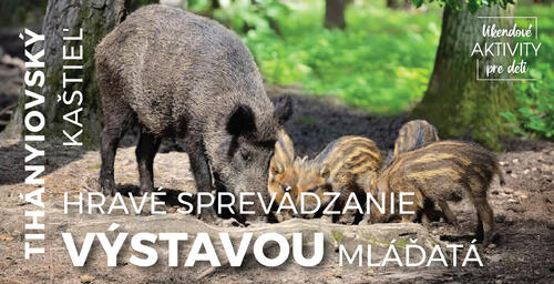 Plagát Hravé sprevádzanie výstavou Mláďatá