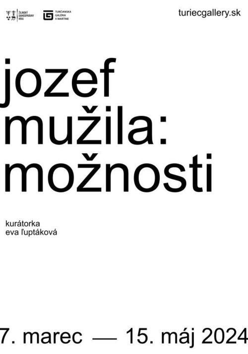 Plagát Jozef Mužila: Možnosti