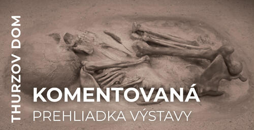 Plagát Komentovaná prehliadka s archeologičkou