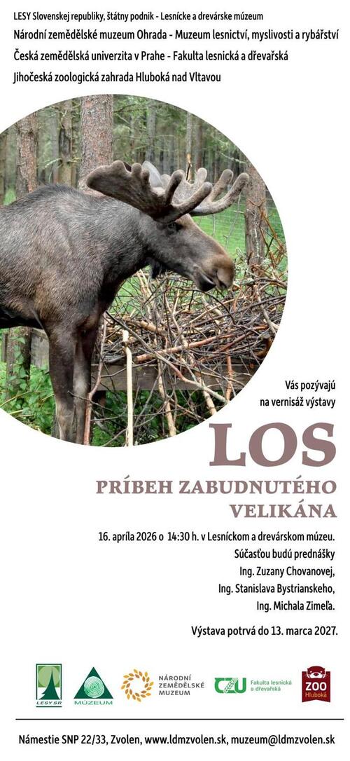 Plagát Los - Príbeh zabudnutého velikána