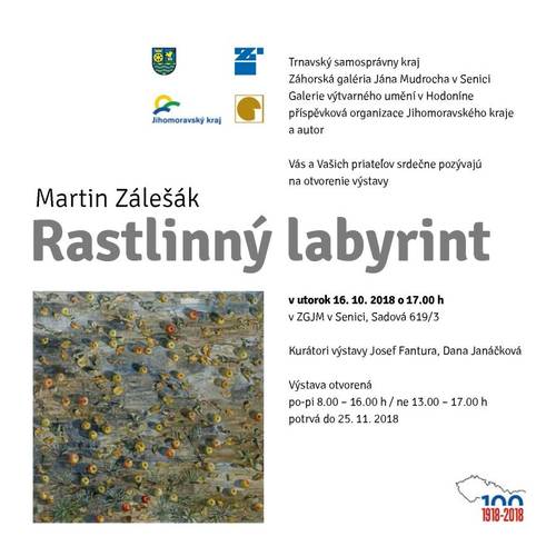 Plagát Martin Zálešák: Rastlinný labyrint
