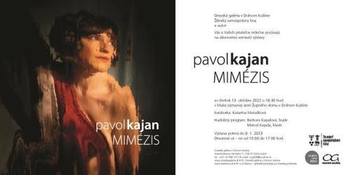 Plagát Pavol Kajan: Mimézis