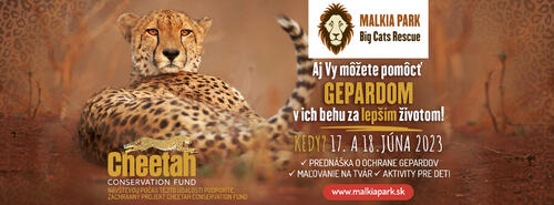 Plagát Víkend gepardov