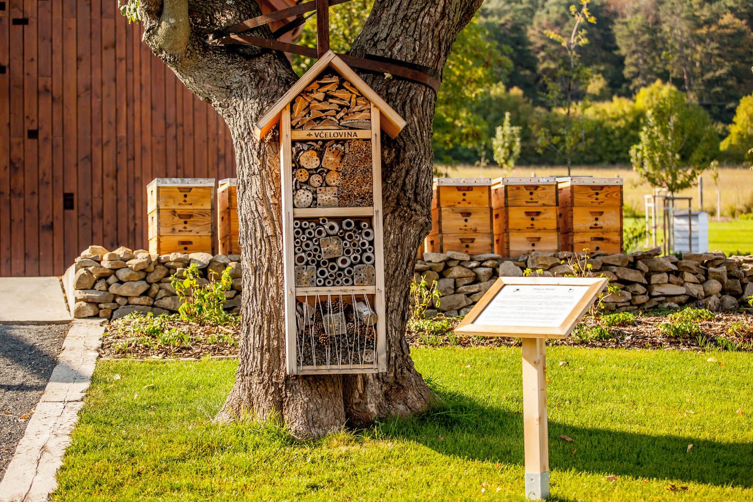 Včelovina - Včelárska záhrada