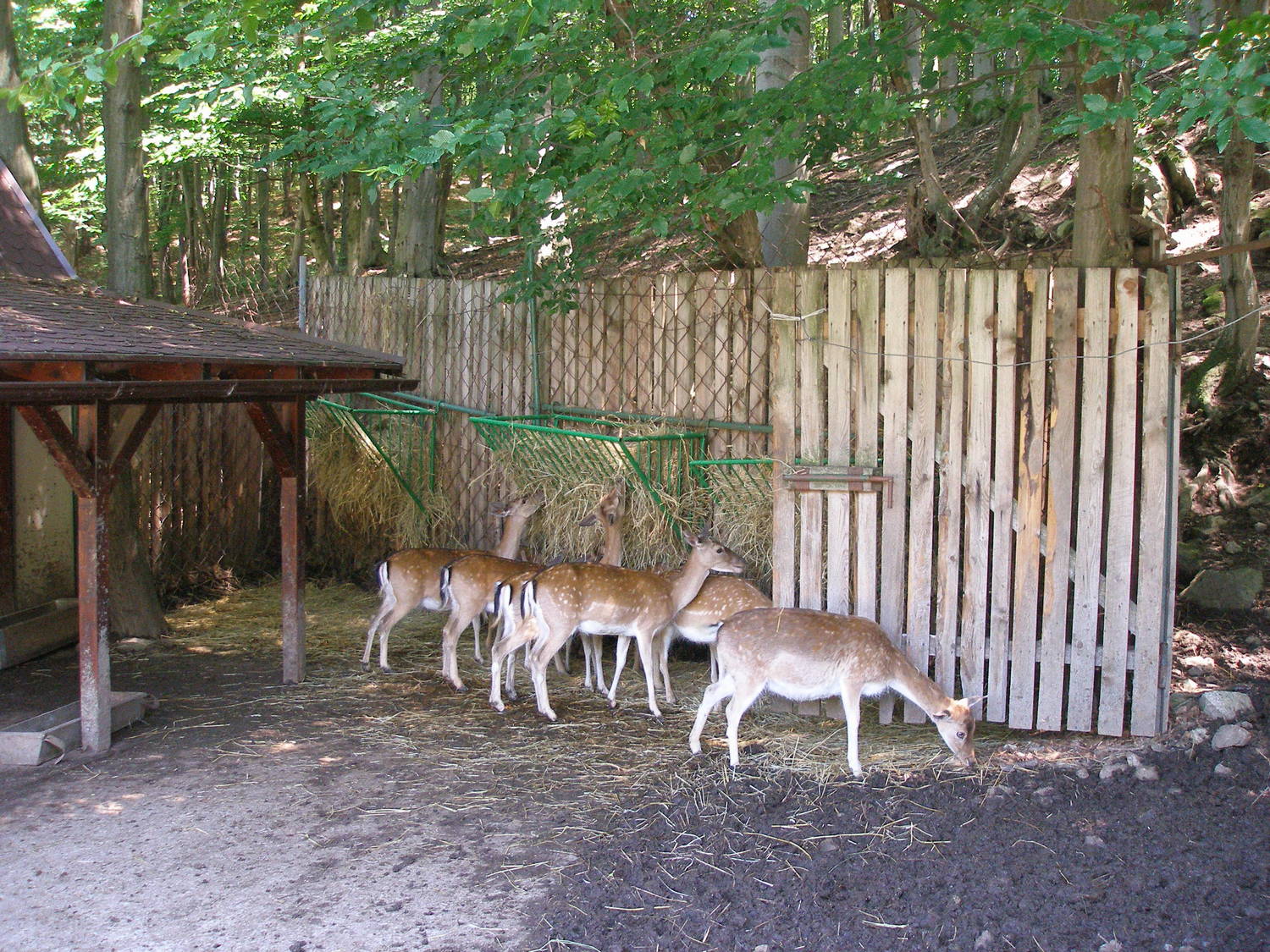 Zoo Košice