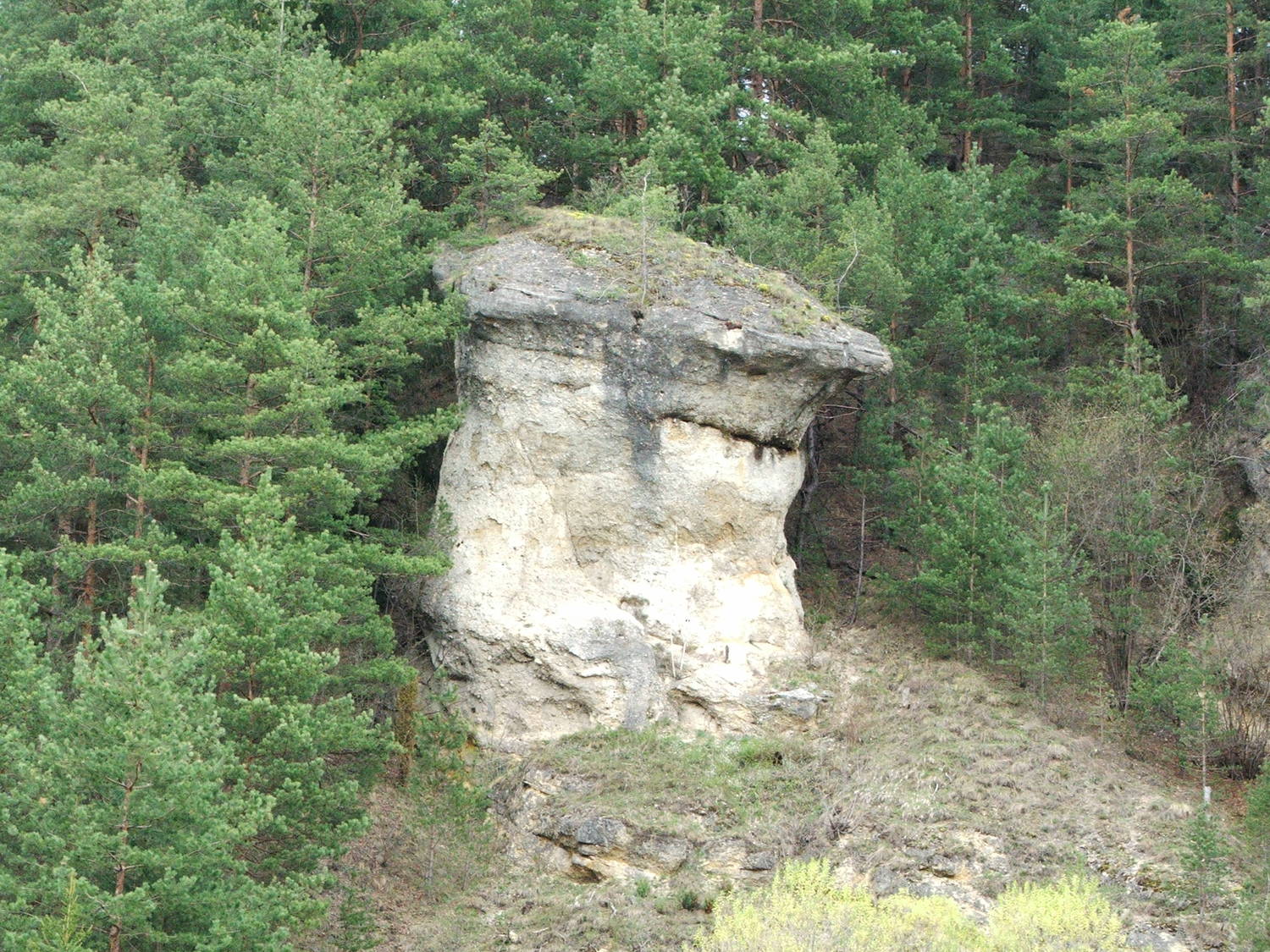 Ľupčiansky skalný hríb