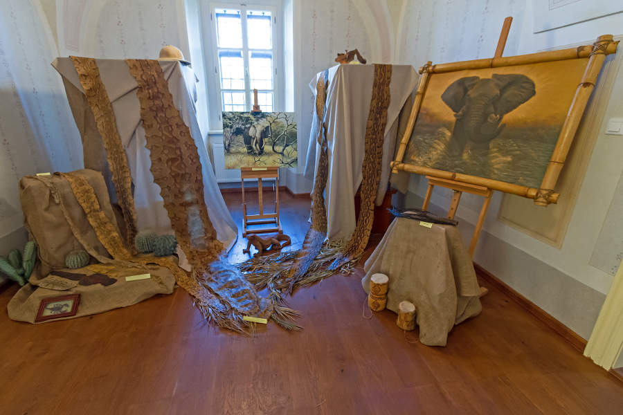 Múzeum Nové Sady